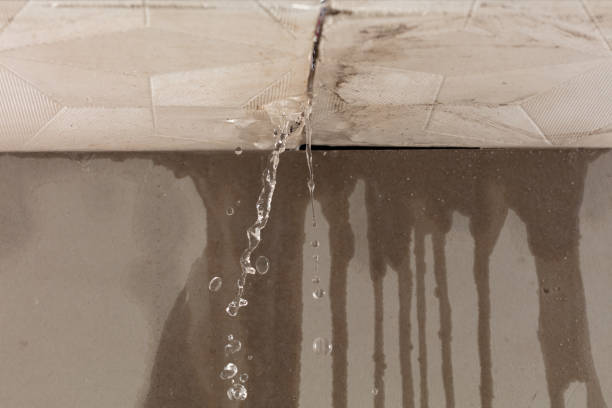 Professional Water Damage Restoration technician working in Springdale, PA